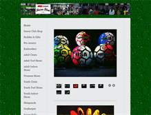 Tablet Screenshot of dmksports.com